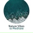 Sounds of Nature Relaxation