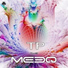 The MeeQ