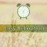 Fast Sleeping Sanctuary
