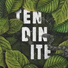 Tendinite