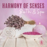 Relaxation Meditation Songs Divine