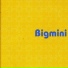 Bigmini