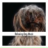 Dog Chillout Music
