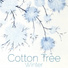 Cotton Tree