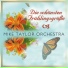 Mike Taylor Orchestra