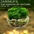 ZamirUfa