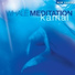 Kamal. 2008 - Whale Meditation (Китовая медитация)
