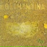 Clementina De Jesus