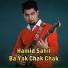 Hamid Sahil