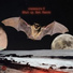 Shut up, Bat feat. Viden