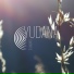 Yudana