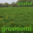 Norrut
