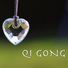 Qi Gong Academy