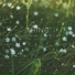 Thing