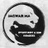 Jagwar Ma