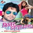 Niraj Nirala, Anita Shiwani