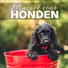 Honden Records