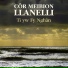 Cor Meibion Llanelli Male Voice Choir