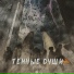 СанСэй1