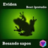 LPR STUDIO feat. Eviden