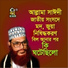 Allama Delwar Hossain Saydee