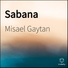 Misael Gaytan
