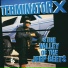 Terminator X feat. Spacey B. Experience