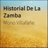 Mono Villafañe