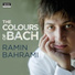 Ramin Bahrami