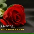 DENATA JUNIOR feat. Lusyana