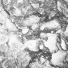 BARCÄ feat. Carmen Sanchez Viamonte