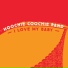 Hoochie Coochie Band