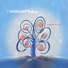 VoicePlay
