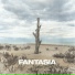 Testaintasca
