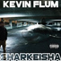 Kevin Flum