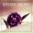 Study Therapy Specialists