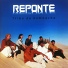 Grupo Reponte