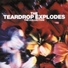 The Teardrop Explodes