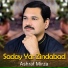 Ashraf Mirza