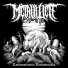 Metalliliete