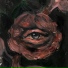 chromeglucc, Insofaze