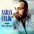 Şaban Çelik