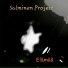 Salminen Project