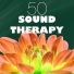 Sound Therapy Music Specialists