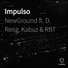 NewGround feat. D. Reng, RBT, Kabuz