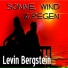 Levin Bergstein