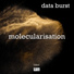 Data Burst