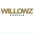 The Willowz