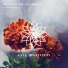 Yogsutra Relaxation Co
