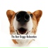Relaxing Dog Music